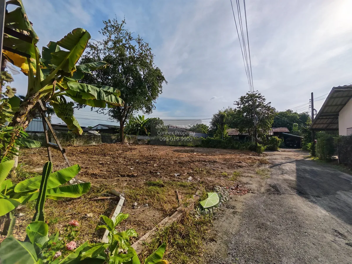 For Sale Vacant land in the heart of San Kamphaeng, San Kamphaeng 1