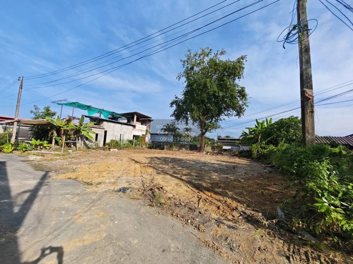 For Sale Vacant land in the heart of San Kamphaeng, San Kamphaeng 4