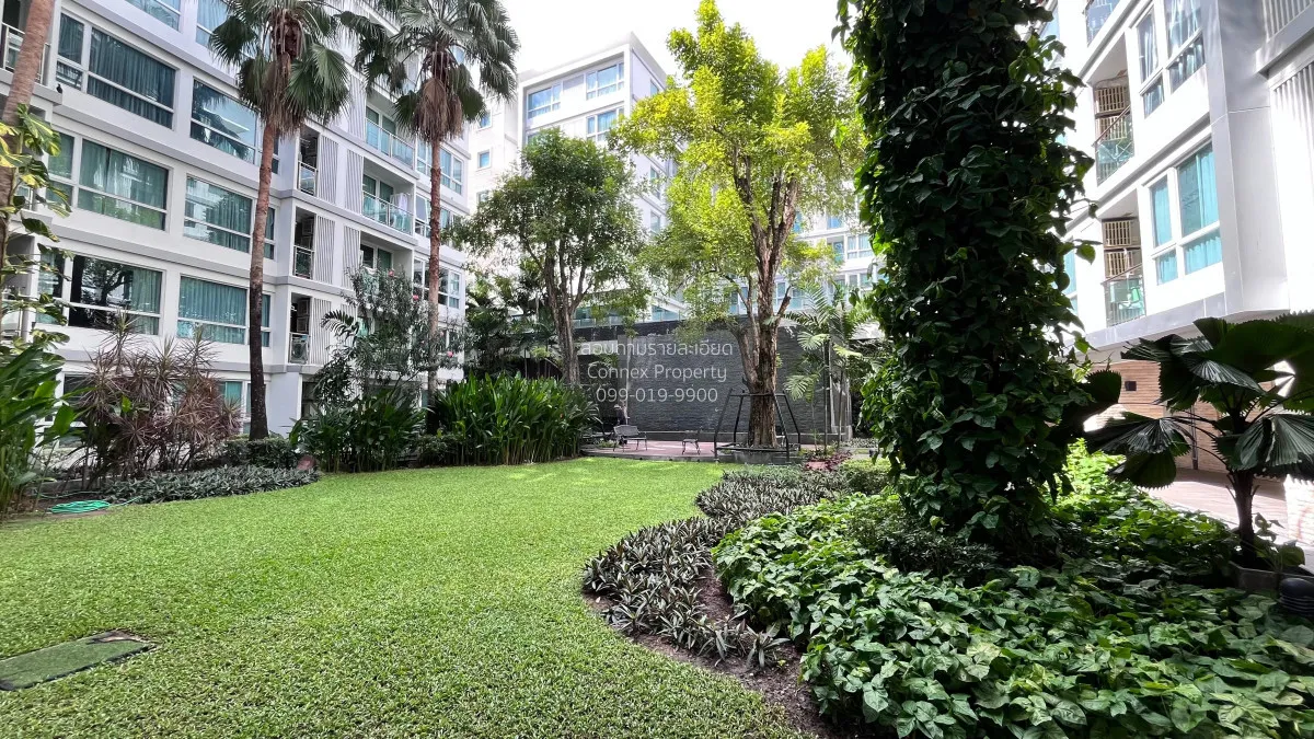 For Rent Condo , Mayfair Place Sukhumvit 64 , BTS-Punnawithi , Ba