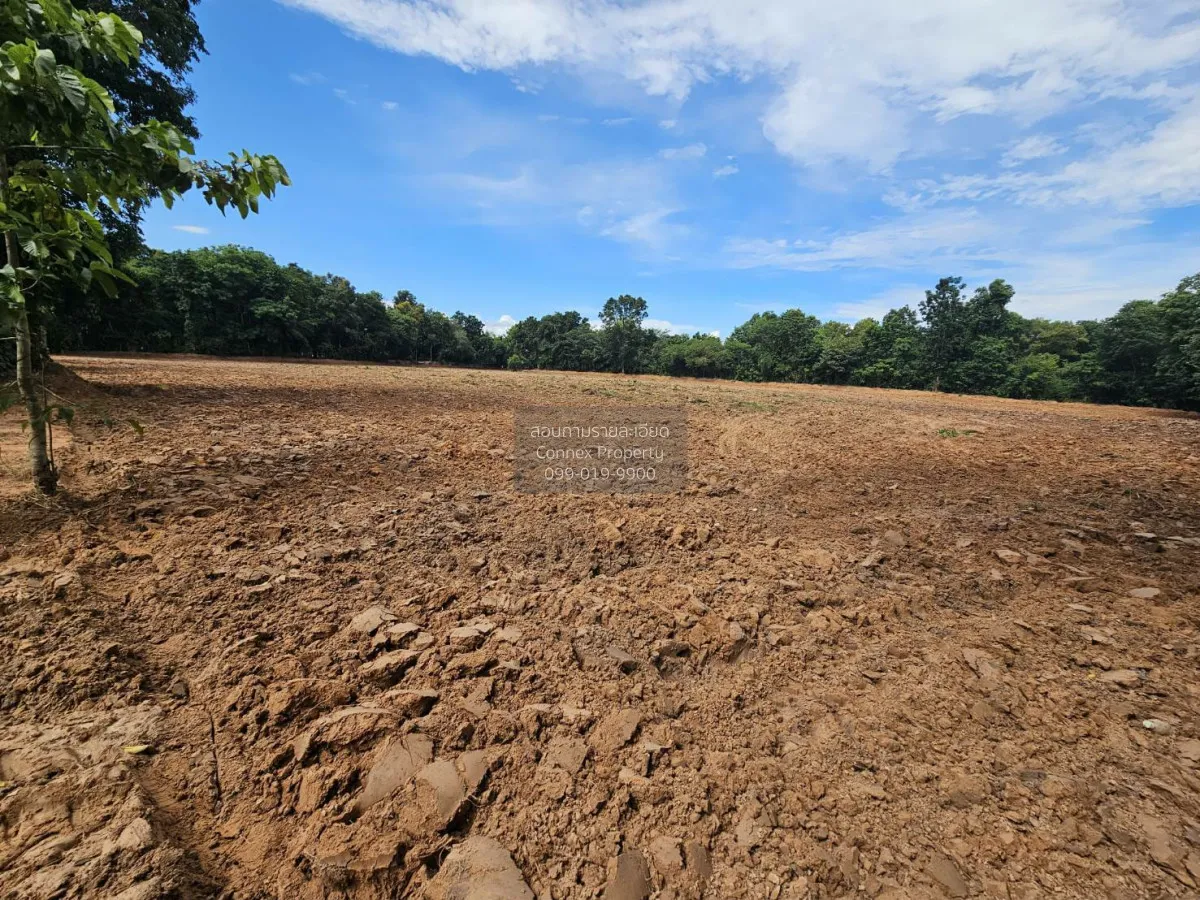 For Sale Vacant Land, 8 Rai 2 Ngan 82 Square Wah, Kantarawichai D 2