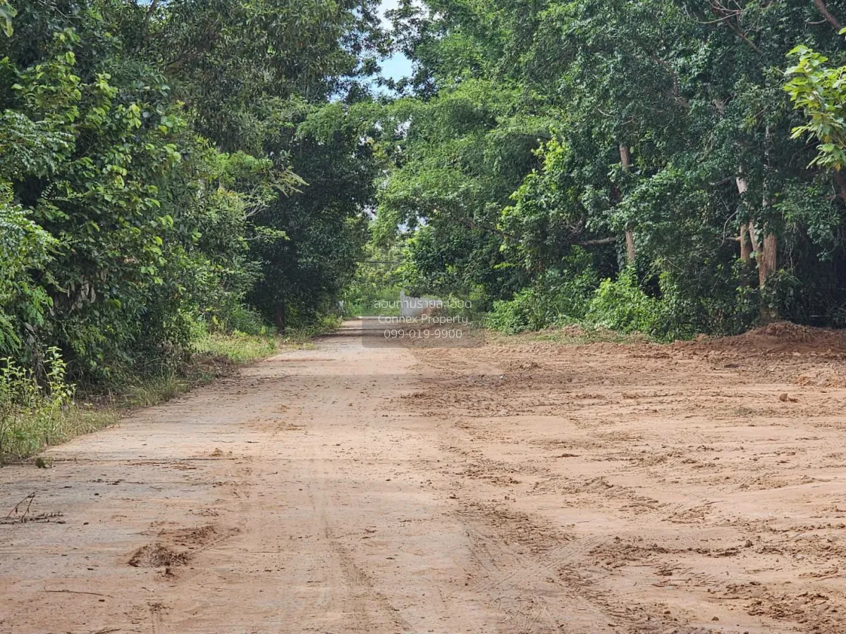 For Sale Vacant Land, 8 Rai 2 Ngan 82 Square Wah, Kantarawichai D 4