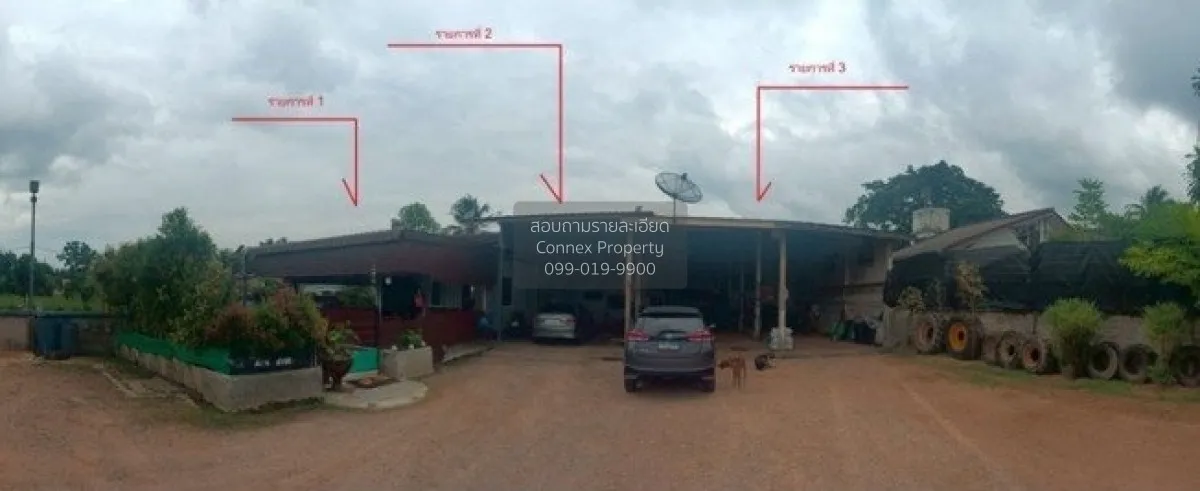 ขายบ้าน 1 ชั้น 392 ตรว. สะเดา สงขลา พังลา สะเดา สงขลา CX-139590 2