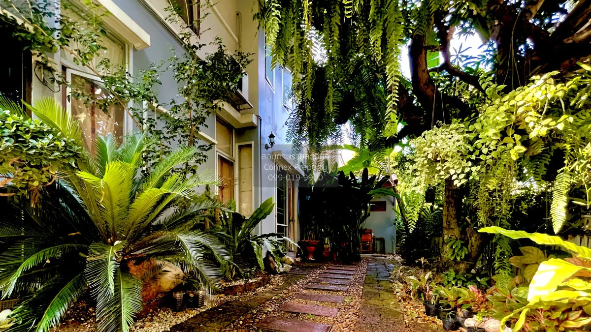 ขายบ้าน  โฮมเพลส รังสิต วิวสวย ห้องมุม บางพูน เมืองปทุมธานี ปทุมธ 3