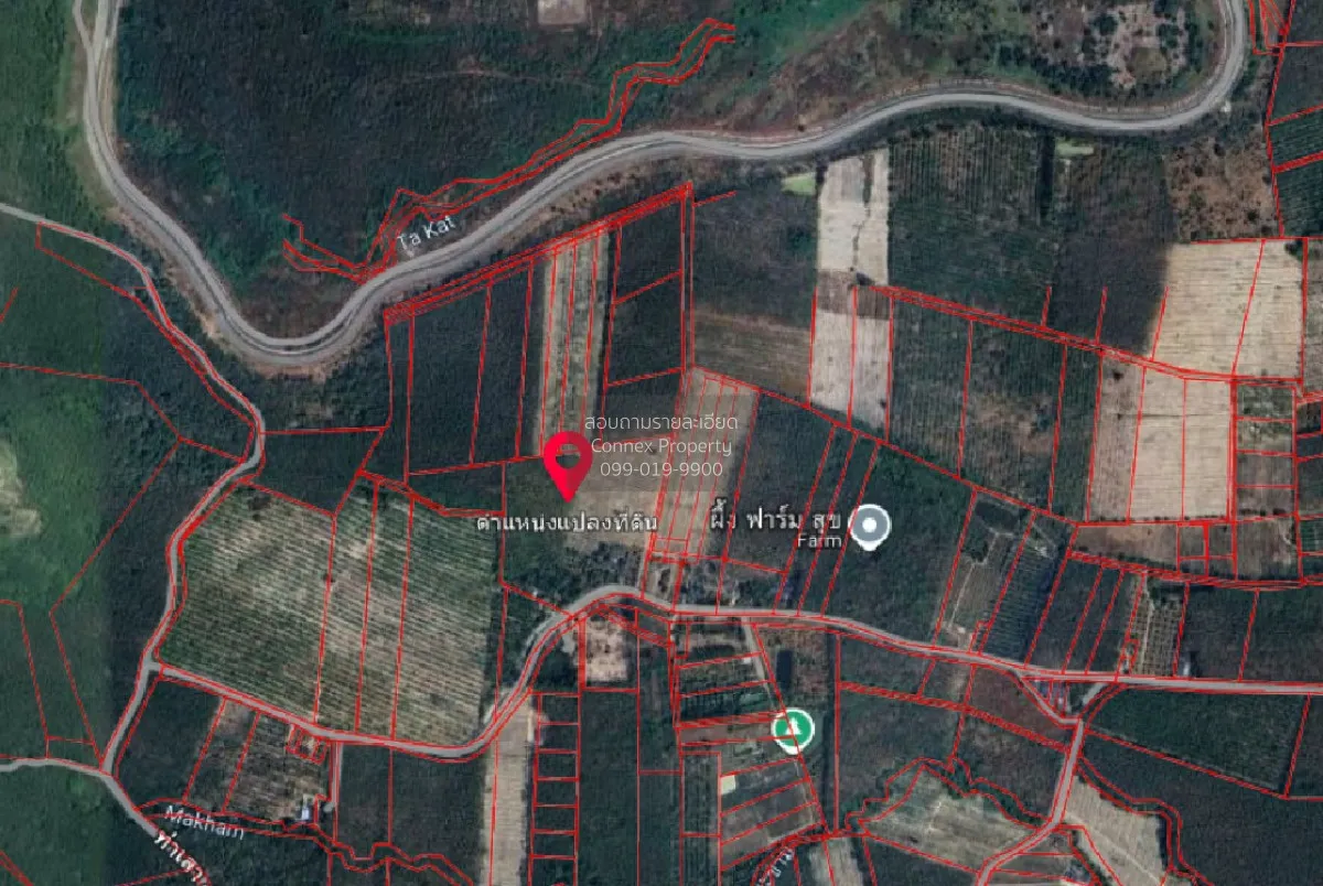 For Sale Land : 55 Rai, 0 Ngan, 22 Square Wah, Wang Chan District 2