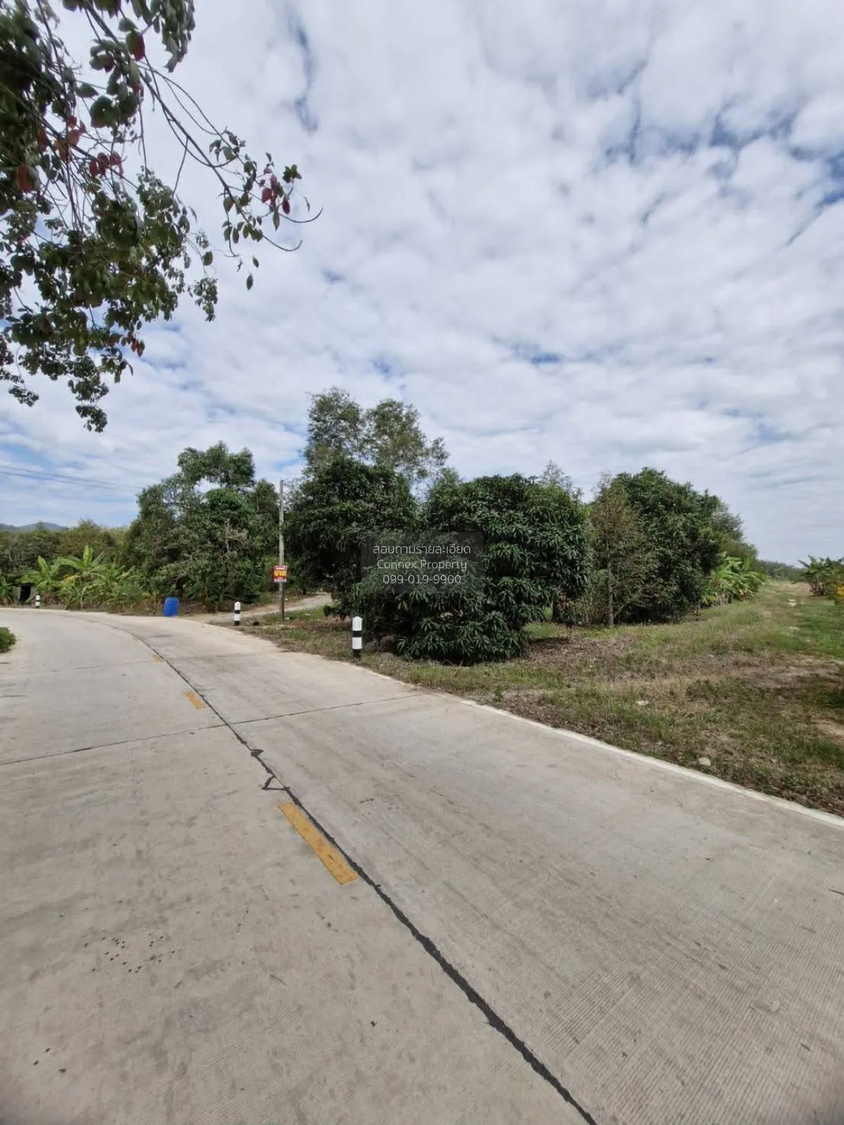 For Sale Land : 55 Rai, 0 Ngan, 22 Square Wah, Wang Chan District 3