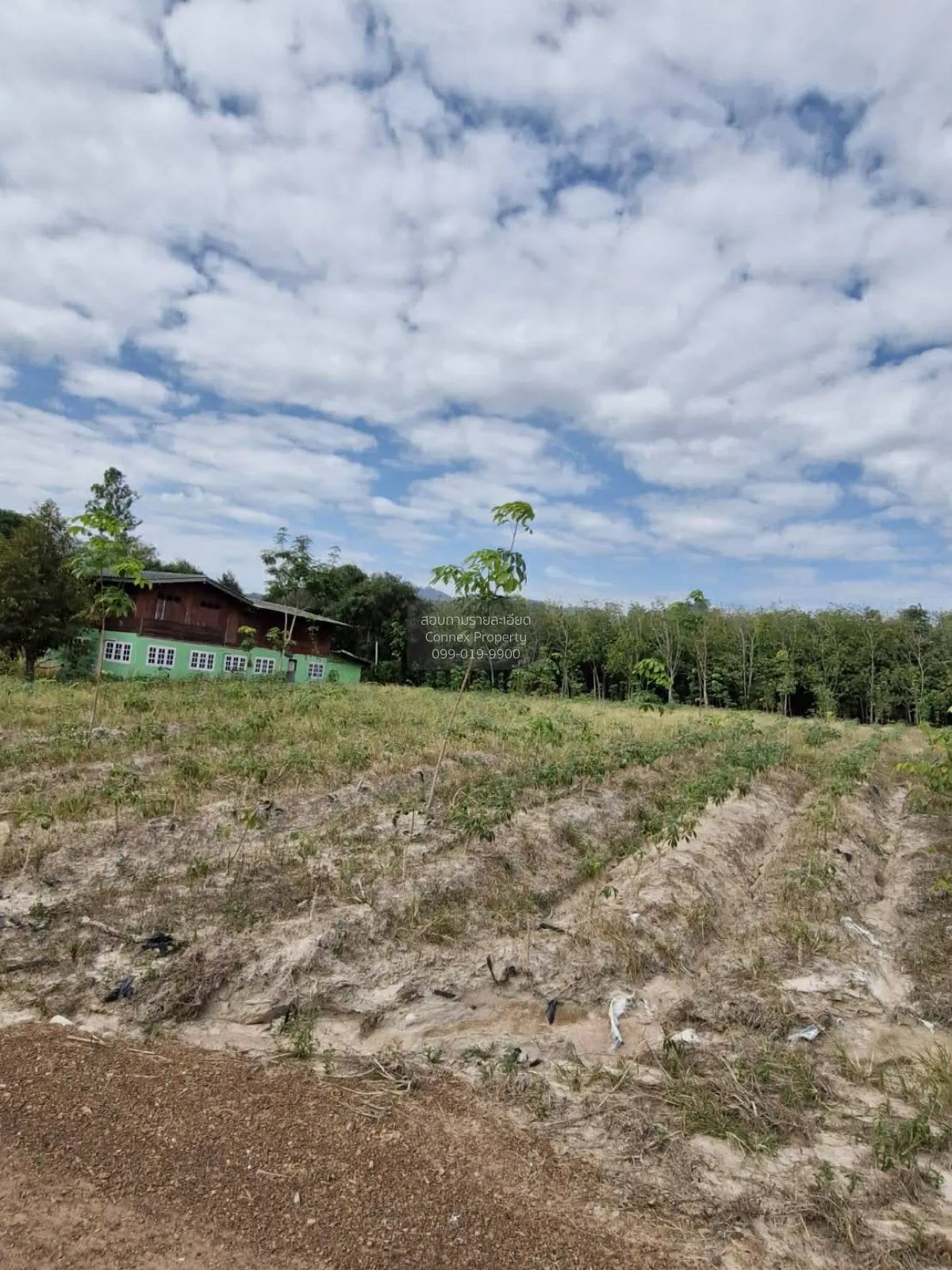 For Sale Land : 55 Rai, 0 Ngan, 22 Square Wah, Wang Chan District 4