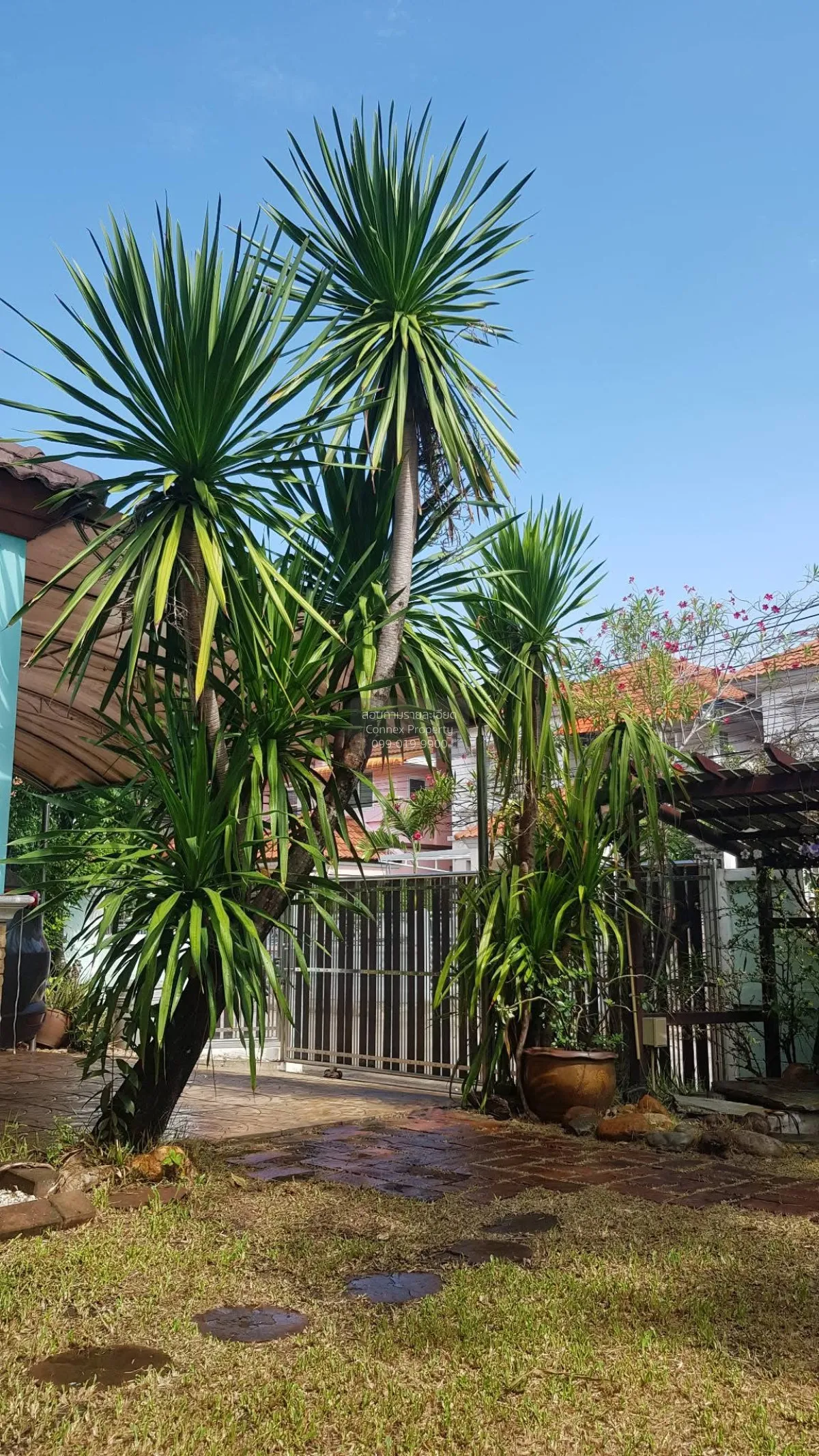 ขายบ้าน  บ้านสินสุข เอกชัย 101 บางบอน เขต บางบอน กรุงเทพ CX-14025 4