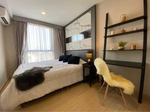 For Rent Condo , The Tree Onnut Station , BTS-On Nut , Bang Chak , Phra Khanong , Bangkok , CX-140295