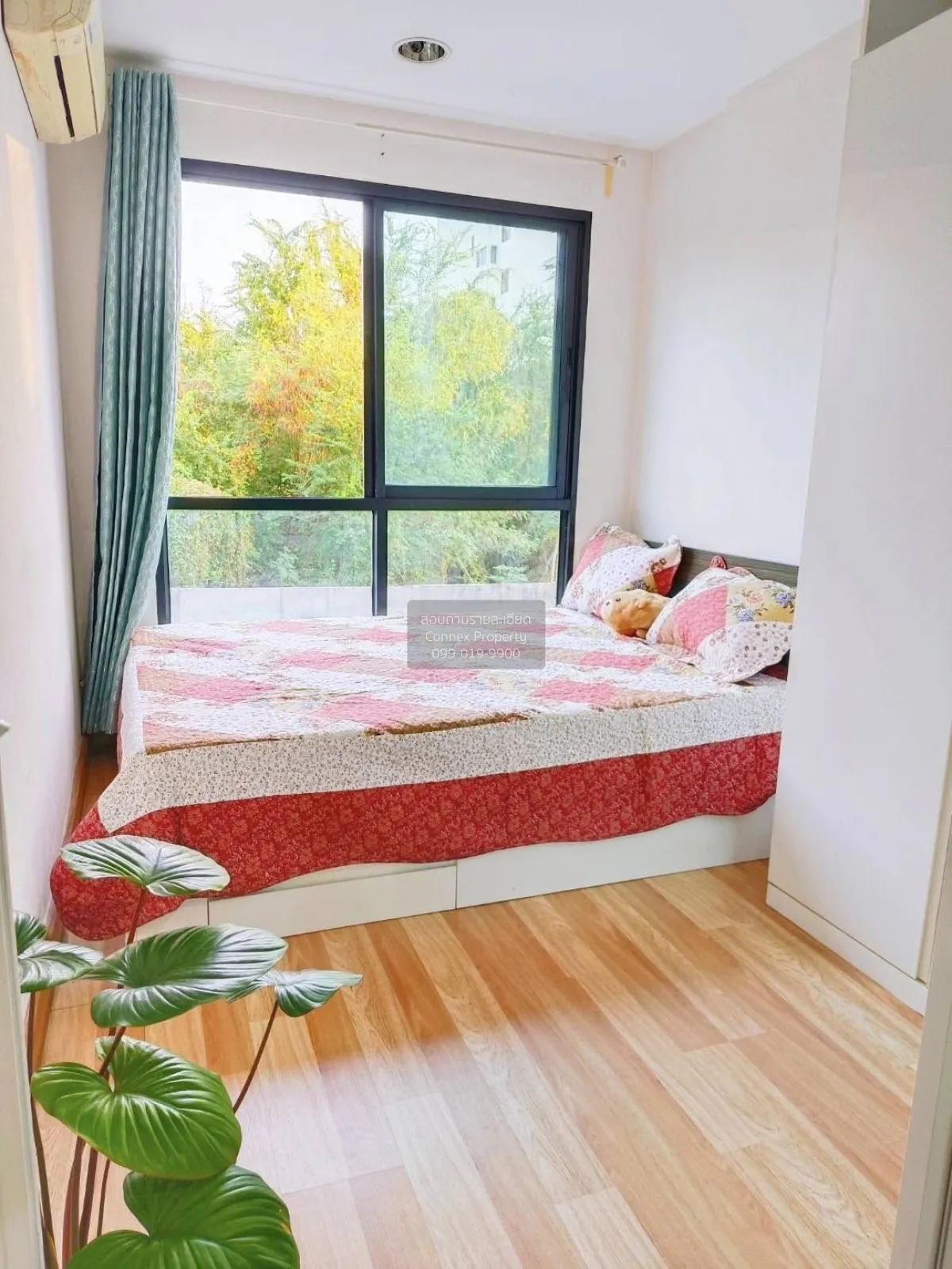 For Rent Condo , A Pool Condo Bangna , BTS-Bang Na , Bang Na , Ba