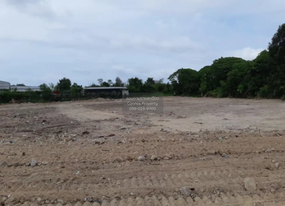 For Sale Land in Asia Industrial Estate, Map Ta Phut, Rayong , CX