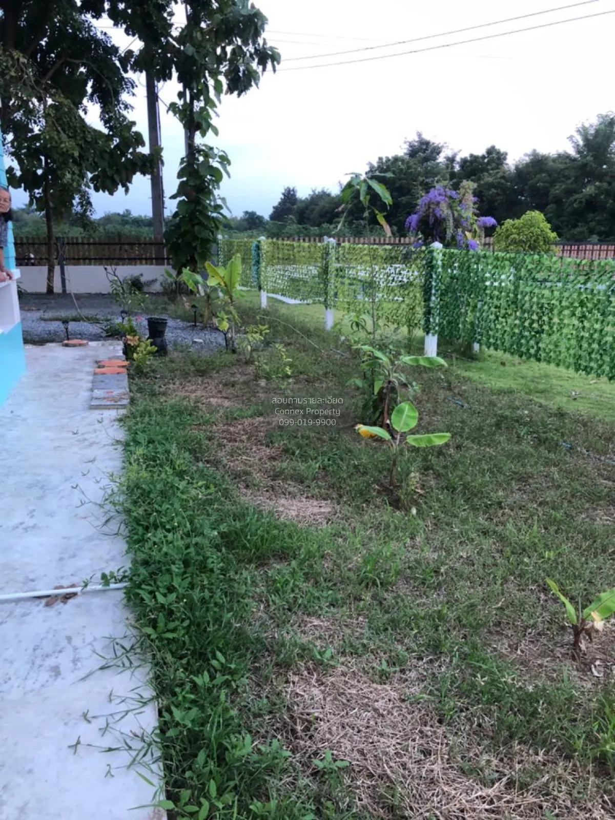 For Sale Single-detached house with 200 sq. wah of land in Nong Y