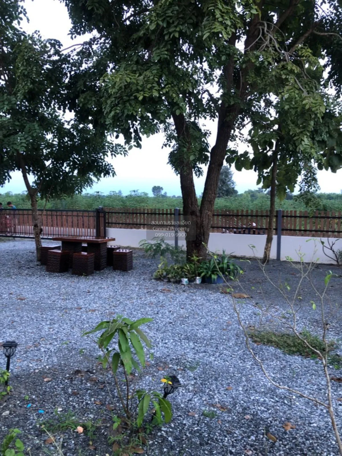 For Sale Single-detached house with 200 sq. wah of land in Nong Y