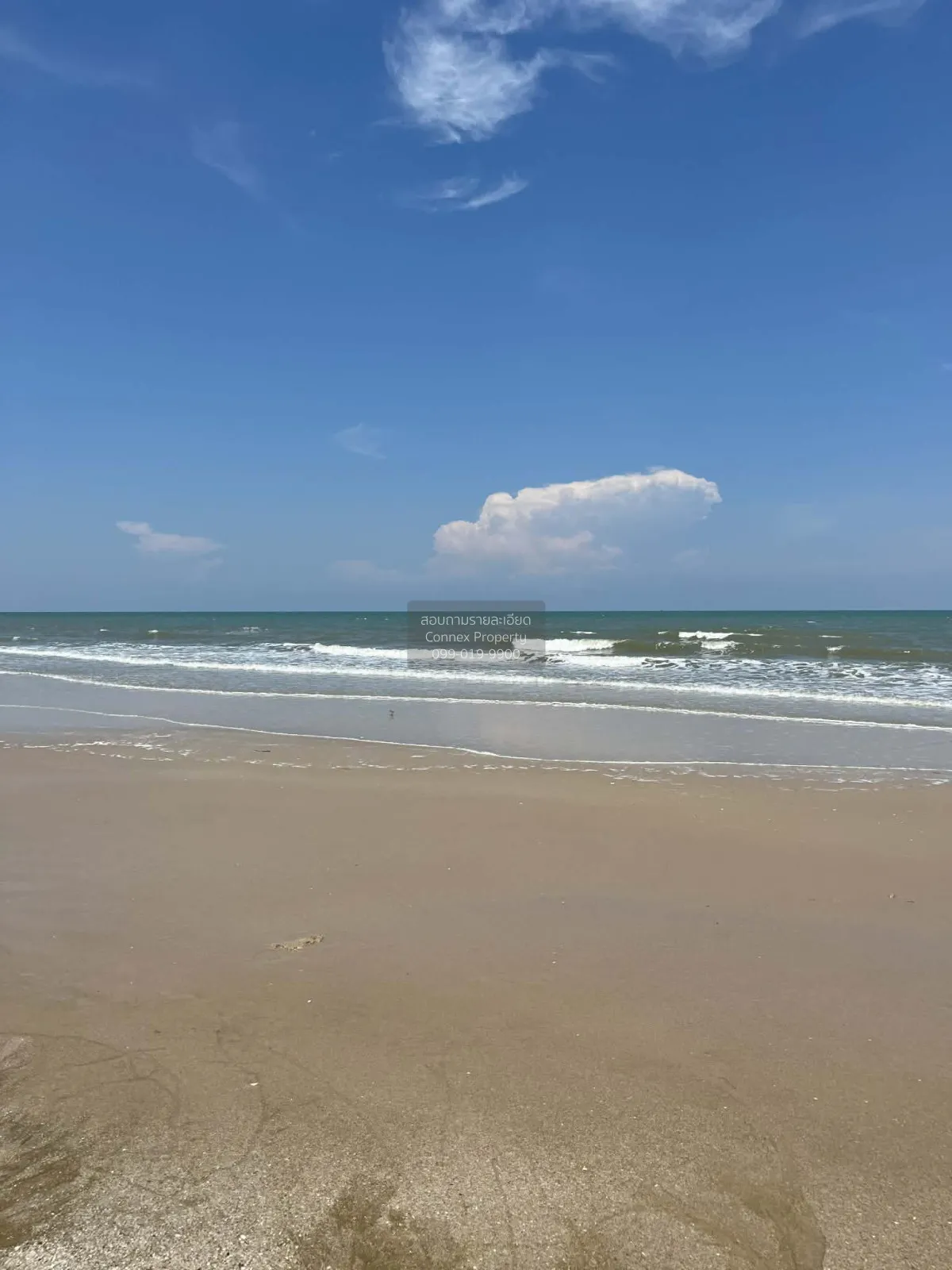 ขายที่ดินสวยริมทะเล 42-2-78 ไร่  หาดเพชร อ.ท่ายาง เพชรบุรี CX-141 2