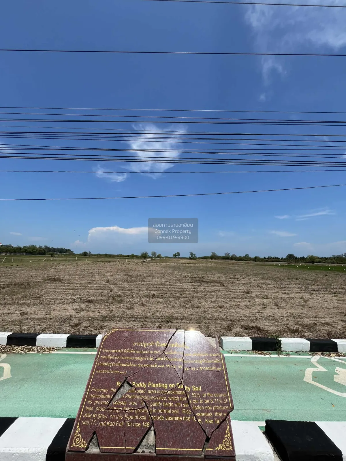 ขายที่ดินสวยริมทะเล 42-2-78 ไร่  หาดเพชร อ.ท่ายาง เพชรบุรี CX-141 3