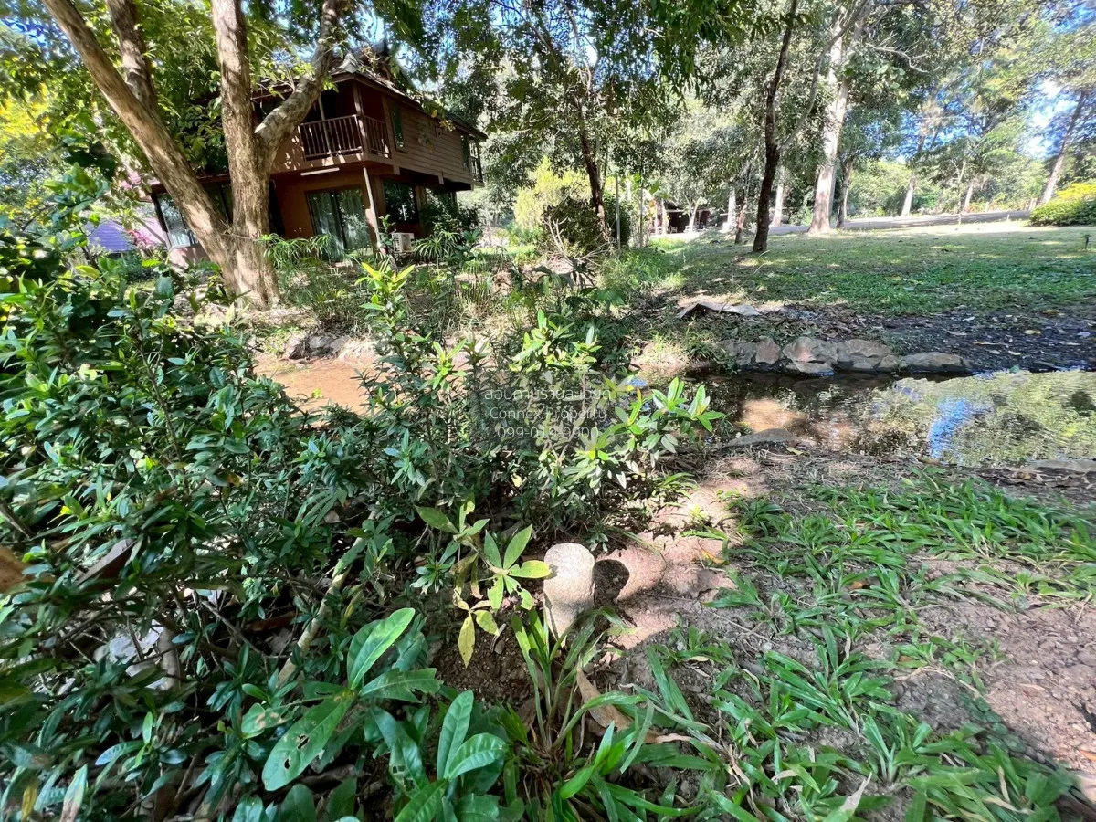 For Sale Land for sale 418sqw Chiang mai , nice view , Khuang Pao 1