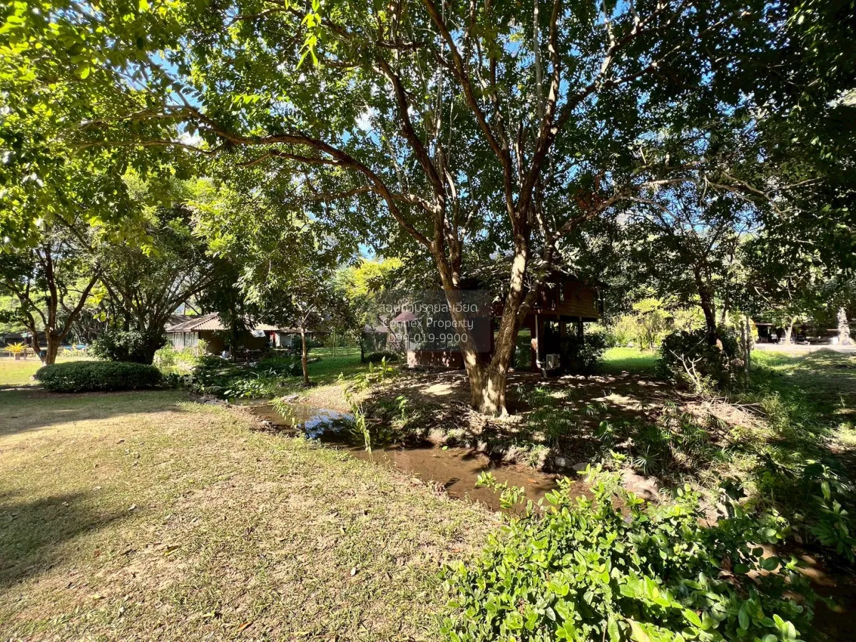 For Sale Land for sale 418sqw Chiang mai , nice view , Khuang Pao 2