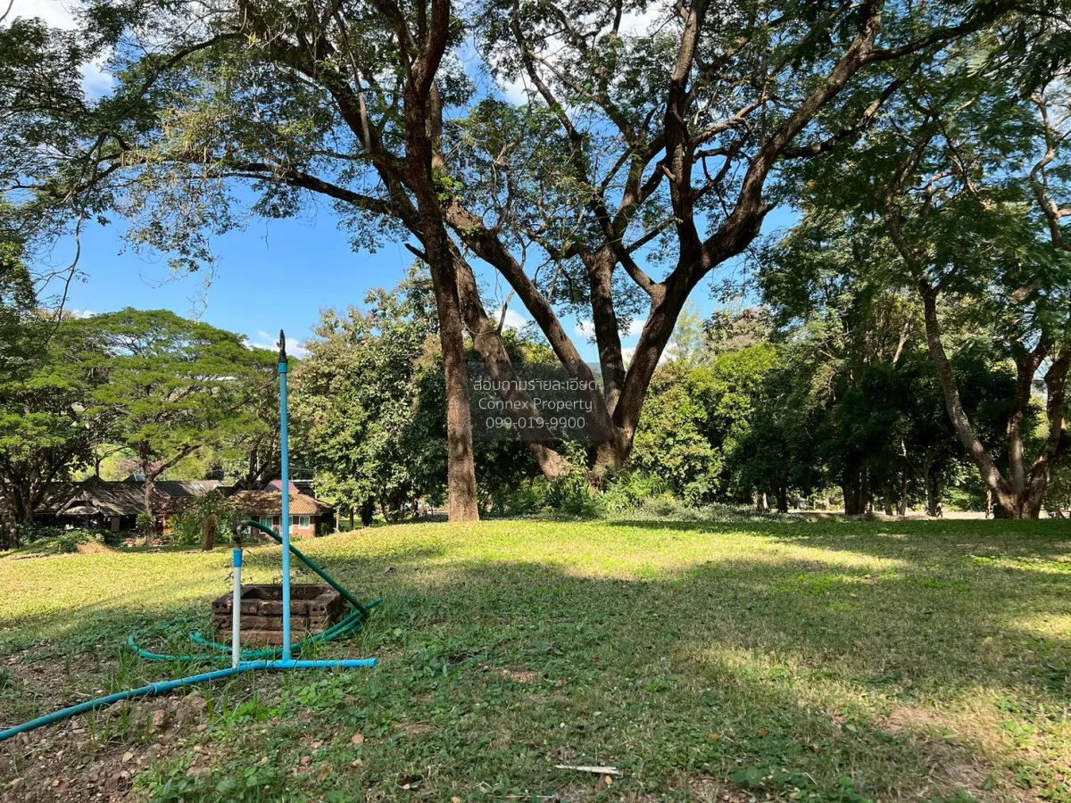 For Sale Land for sale 418sqw Chiang mai , nice view , Khuang Pao 3