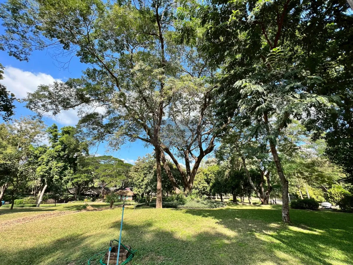 For Sale Land for sale 418sqw Chiang mai , nice view , Khuang Pao 4