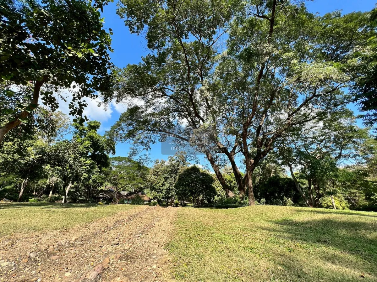 For Sale Land for sale 418sqw Chiang mai , nice view , Khuang Pao