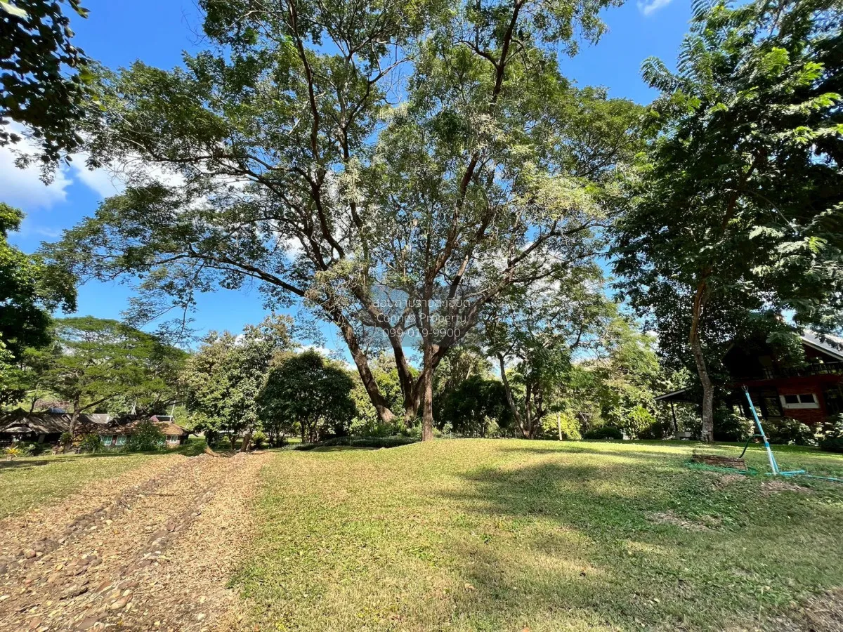 For Sale Land for sale 418sqw Chiang mai , nice view , Khuang Pao