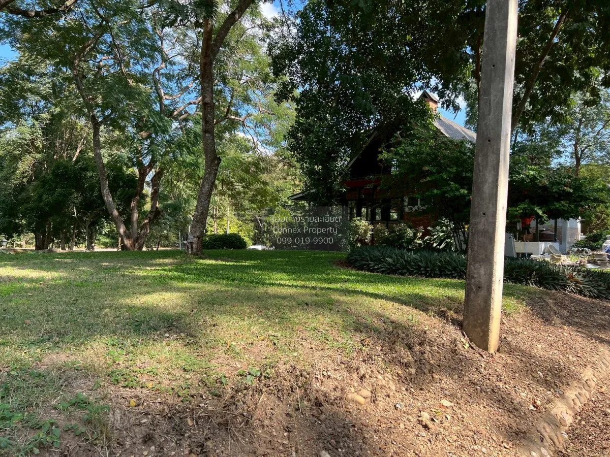 For Sale Land for sale 418sqw Chiang mai , nice view , Khuang Pao