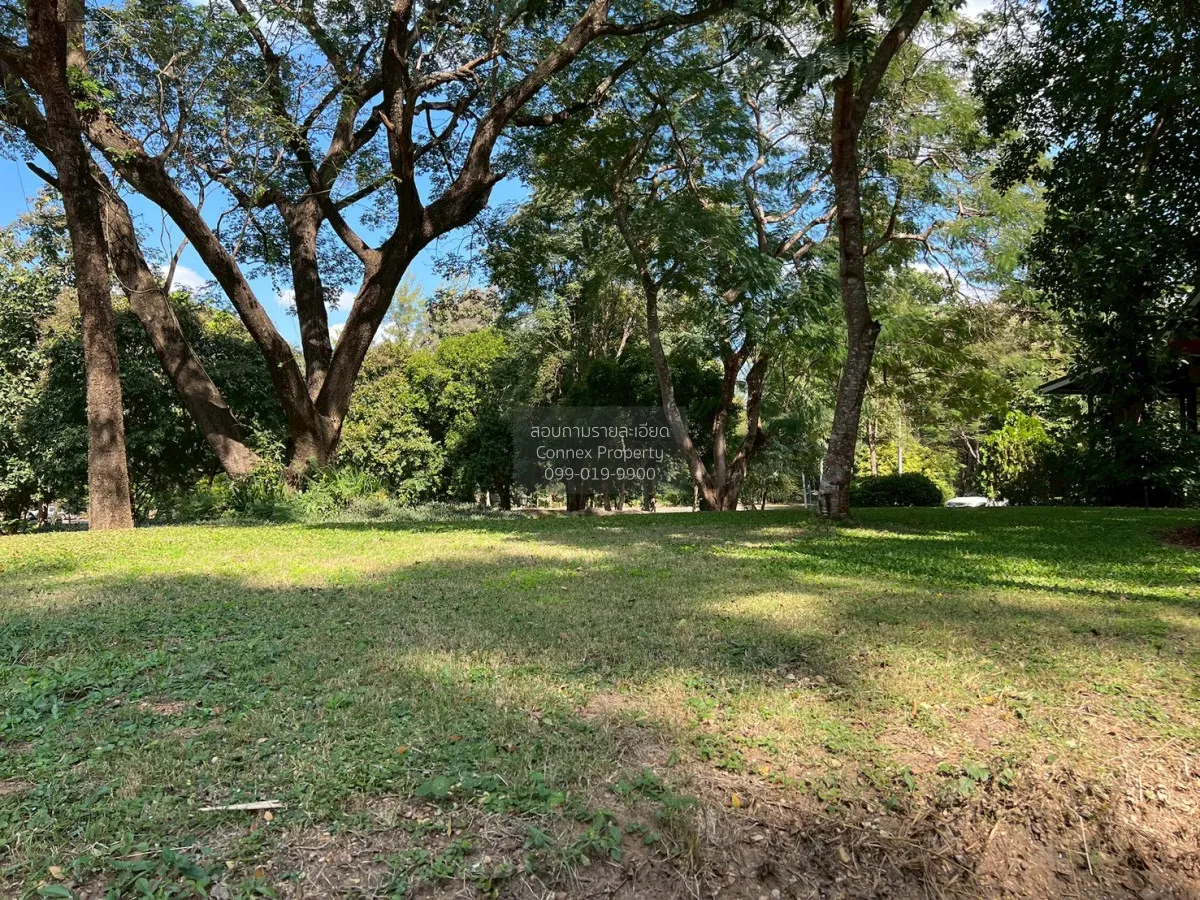 For Sale Land for sale 418sqw Chiang mai , nice view , Khuang Pao