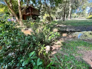 For Sale Land for sale 418sqw Chiang mai , nice view , Khuang Pao , Chom Thong , Chiang Mai , CX-141492