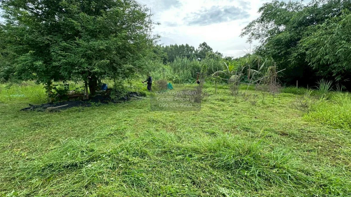 For Sale Land for sale , 417sqw chiang mai , nice view , Nong Phu 3