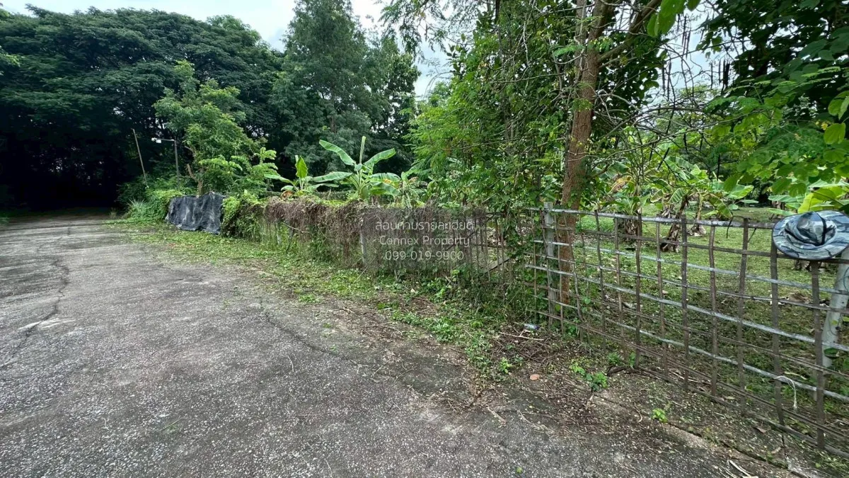 For Sale Land for sale , 417sqw chiang mai , nice view , Nong Phu