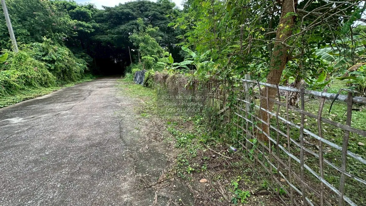 For Sale Land for sale , 417sqw chiang mai , nice view , Nong Phu