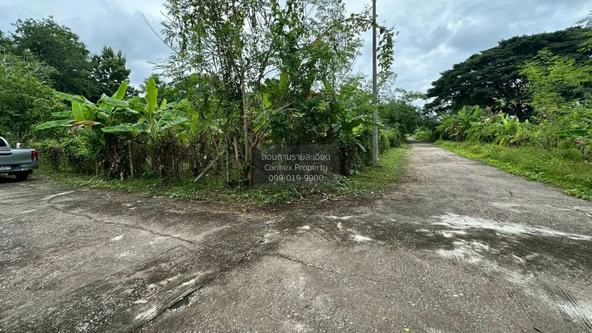 For Sale Land for sale , 417sqw chiang mai , nice view , Nong Phu