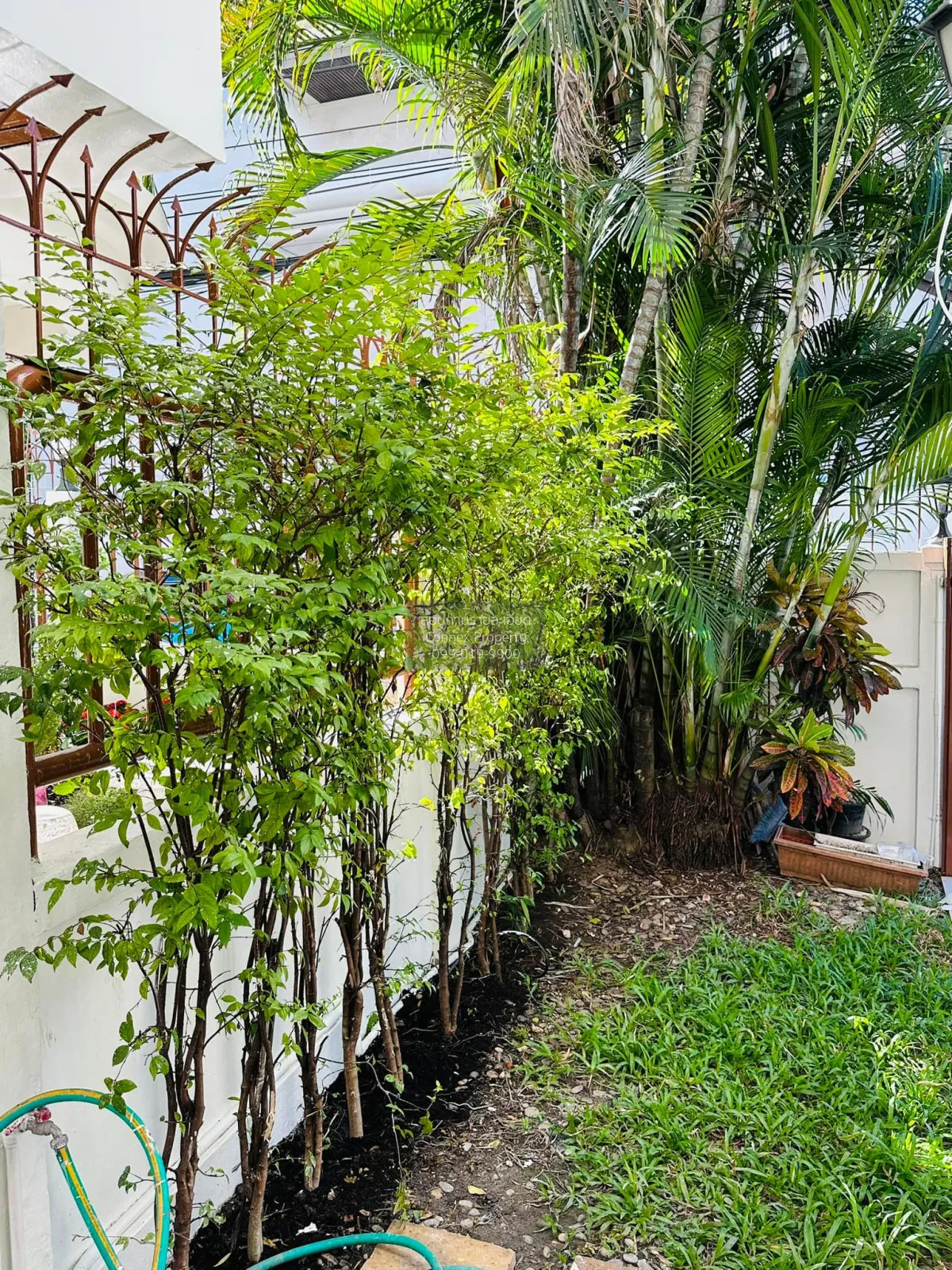 For Rent  HOUSE SUKHUMVIT31 , Khlong Tan Nuea , Watthana , Bangko 2