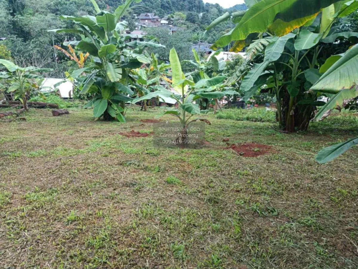 For Rent Land for Rent with Mountain Views – Mae Rim, Chiang Mai  1