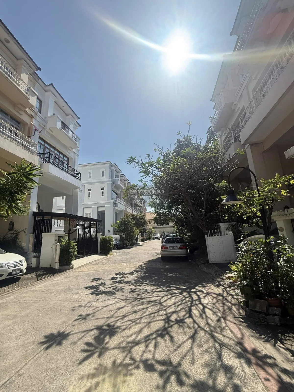 For Sale City Plus Sukhumvit 50 , newly renovated , Khlong Toei , 1