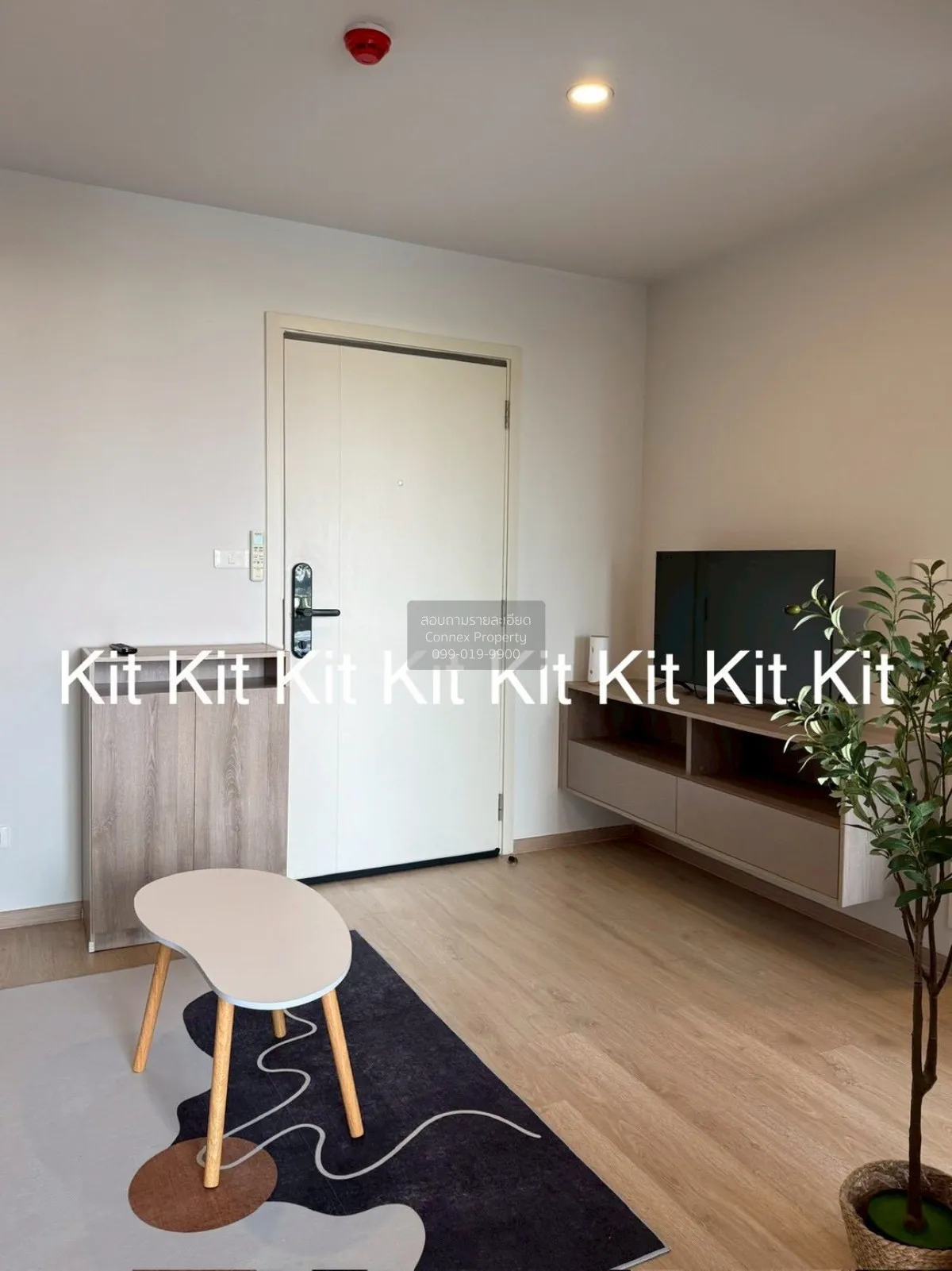For Rent Condo , Elio Del Moss Phahonyothin 34 , BTS-Kasetsart Un 4