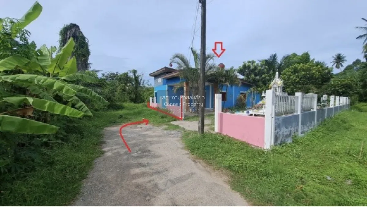 For Sale 1 -stoey house 45 sq.wa. Koh Samui Surat Thani. , Taling 2