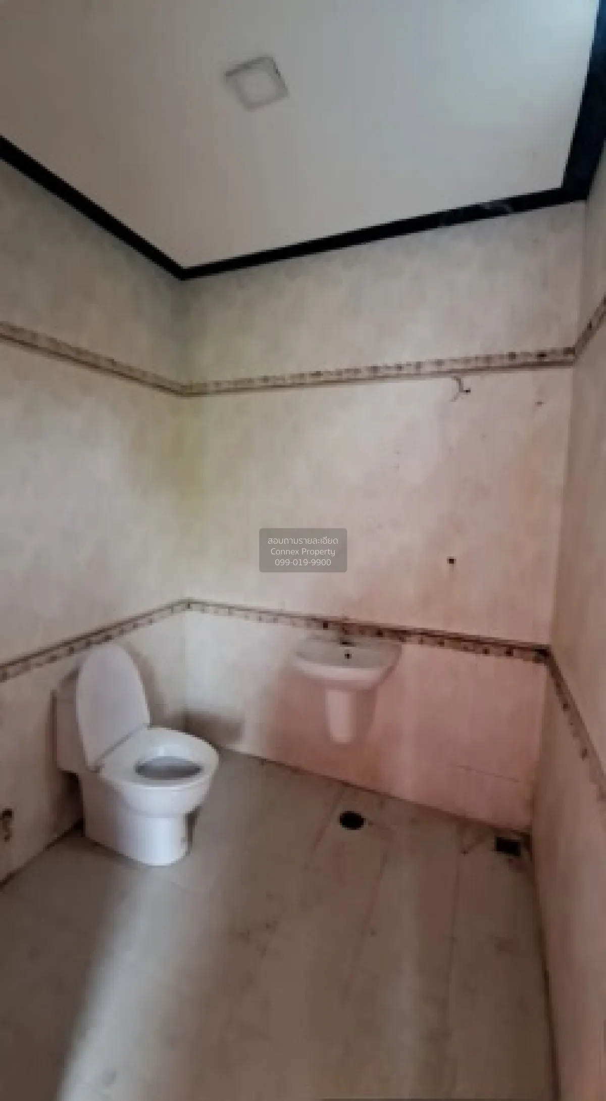 For Sale 1 -stoey house 45 sq.wa. Koh Samui Surat Thani. , Taling