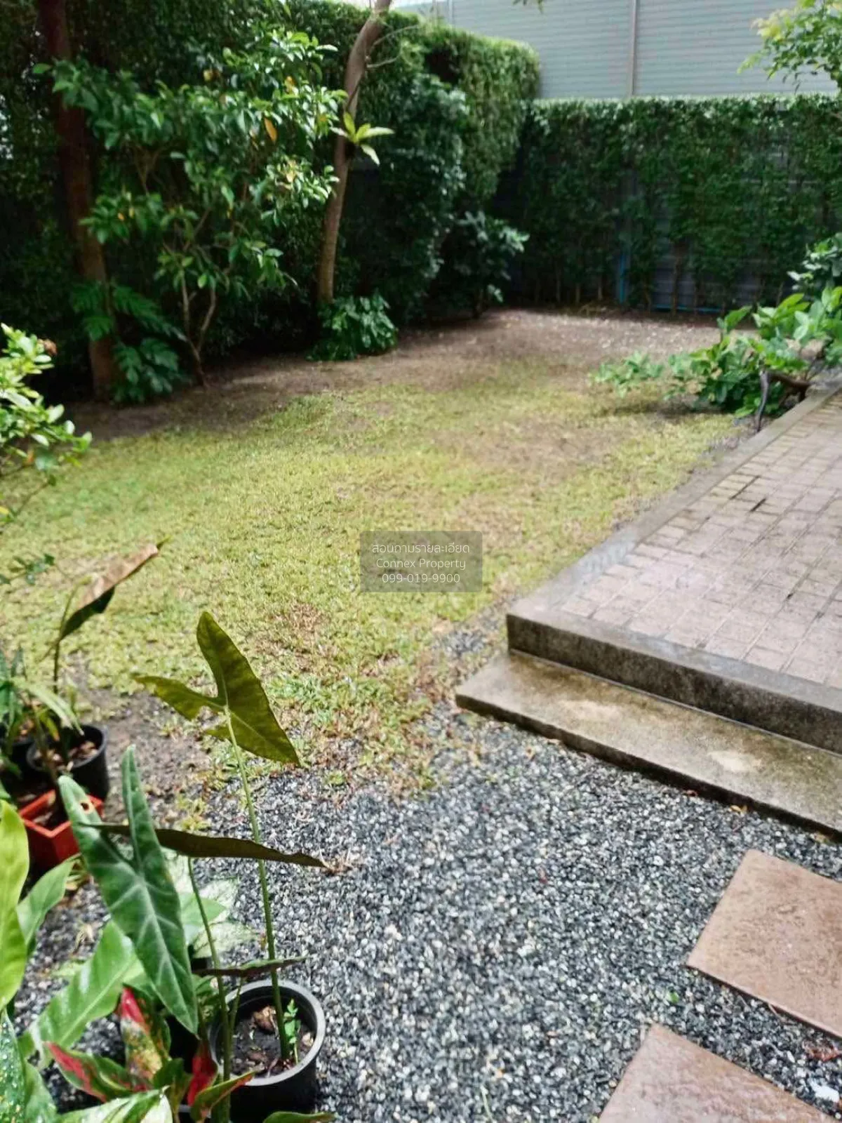 ขายบ้าน  บ้านลุมพินี สวนหลวง ร.9 หนองบอน เขต ประเวศ กรุงเทพ CX-14