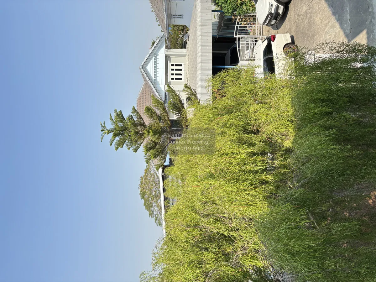 ขายบ้าน  จิรกานต์ 1 บางบัวทอง-ไทรน้อย ไทรน้อย ไทรน้อย นนทบุรี CX-