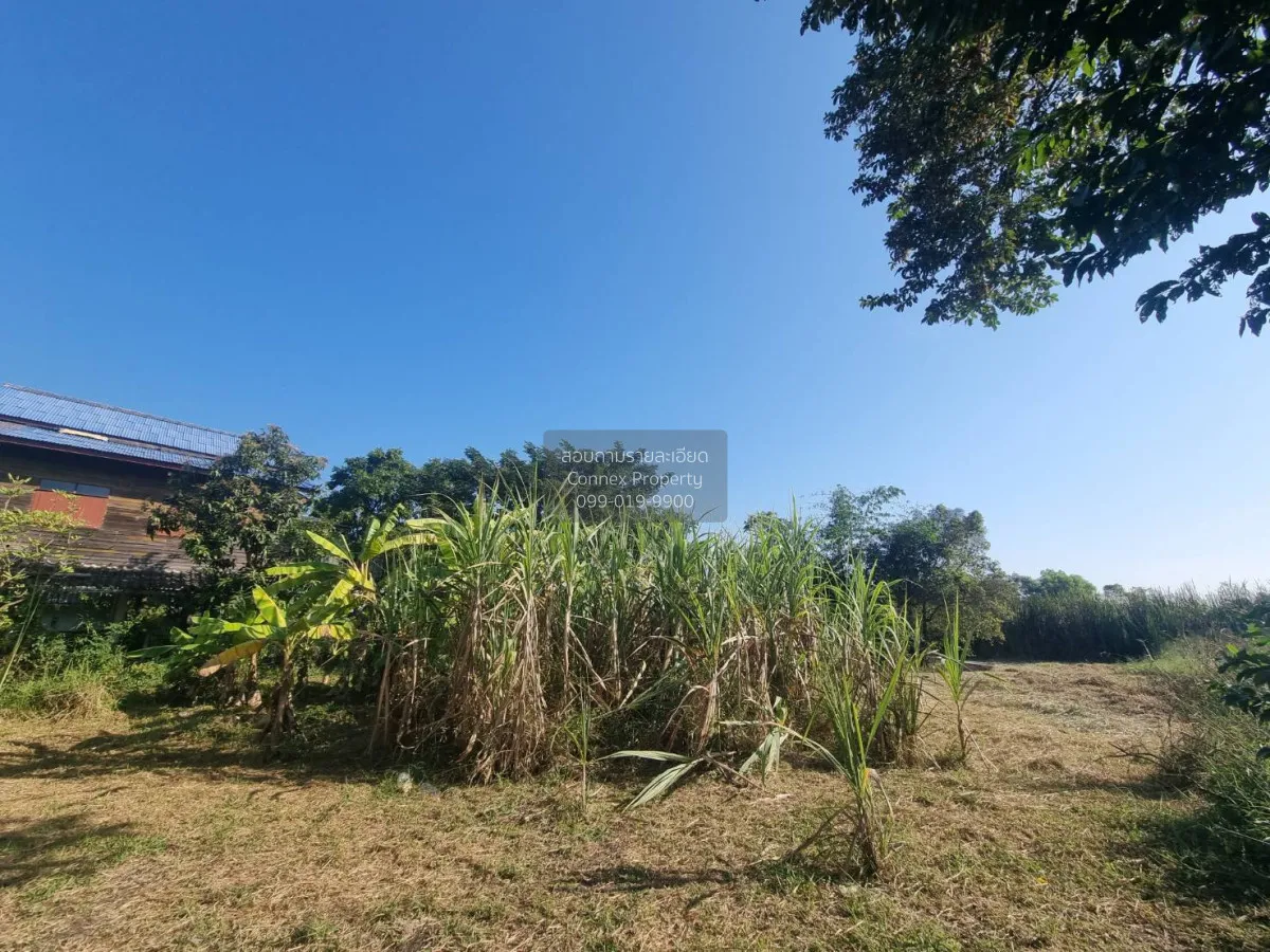 For Sale Land at Minburi 800 sq wa. , Nong Chok , Min Buri , Bang 2