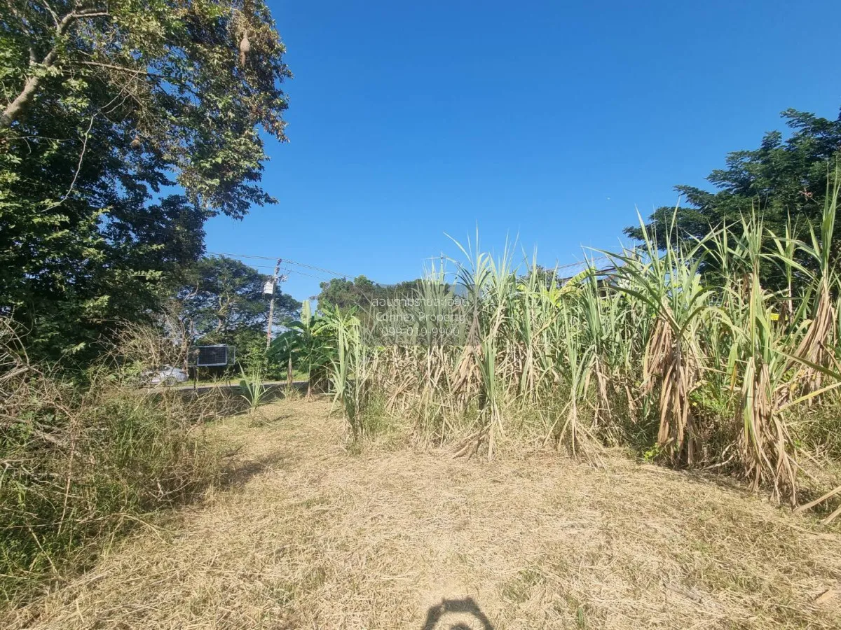 For Sale Land at Minburi 800 sq wa. , Nong Chok , Min Buri , Bang 3