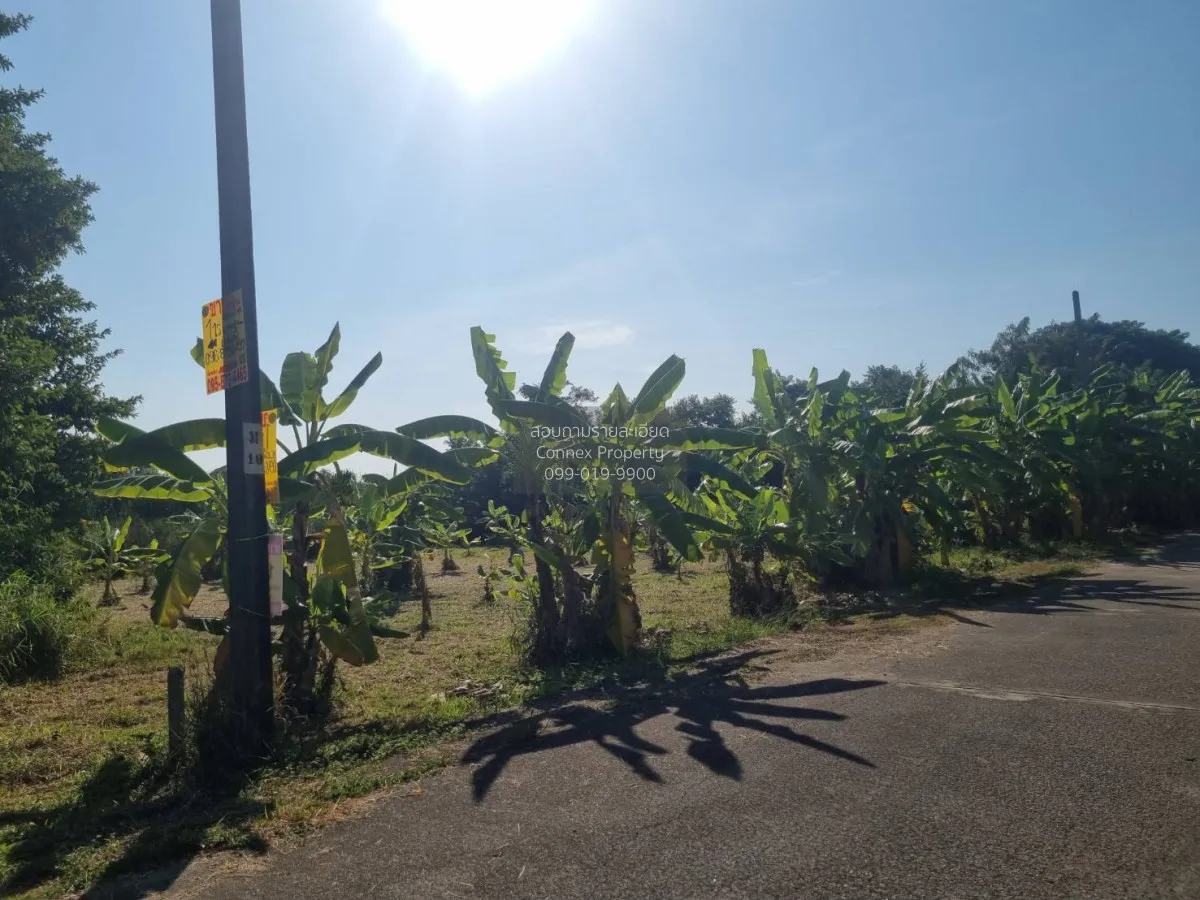 For Sale Land at Minburi 800 sq wa. , Nong Chok , Min Buri , Bang 4