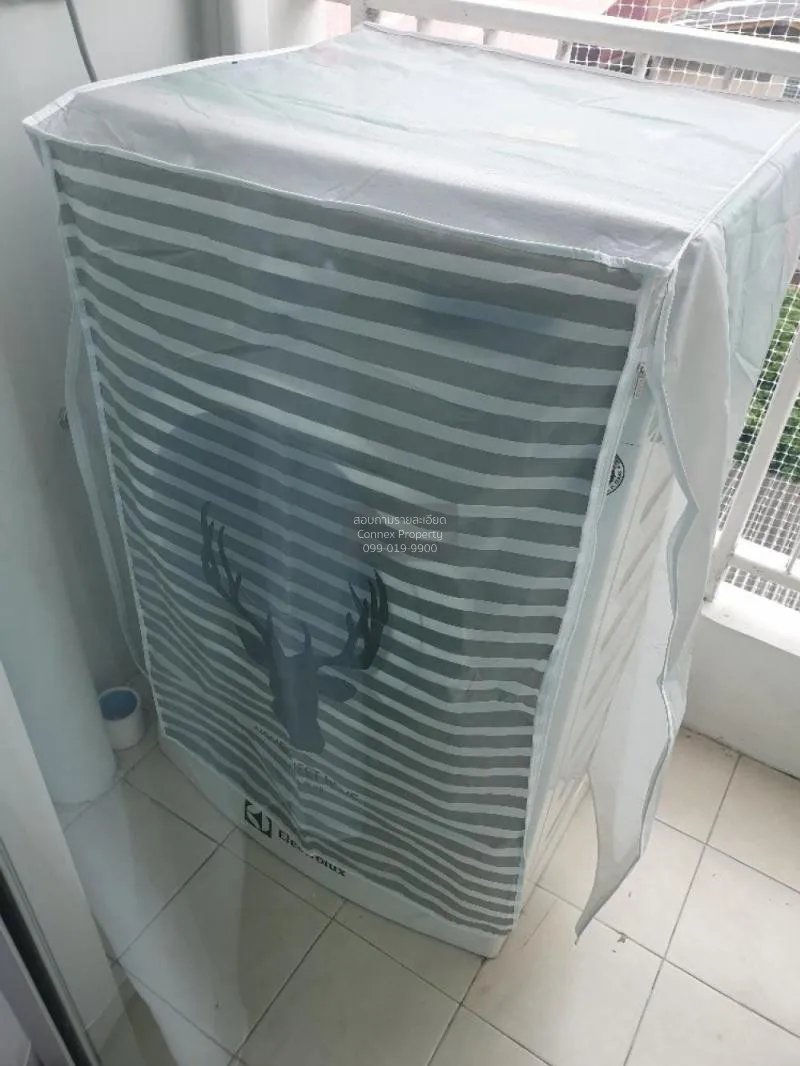 FOR RENT condo , My Condo Sukhumvit 52 , BTS-On Nut , Bang Chak ,