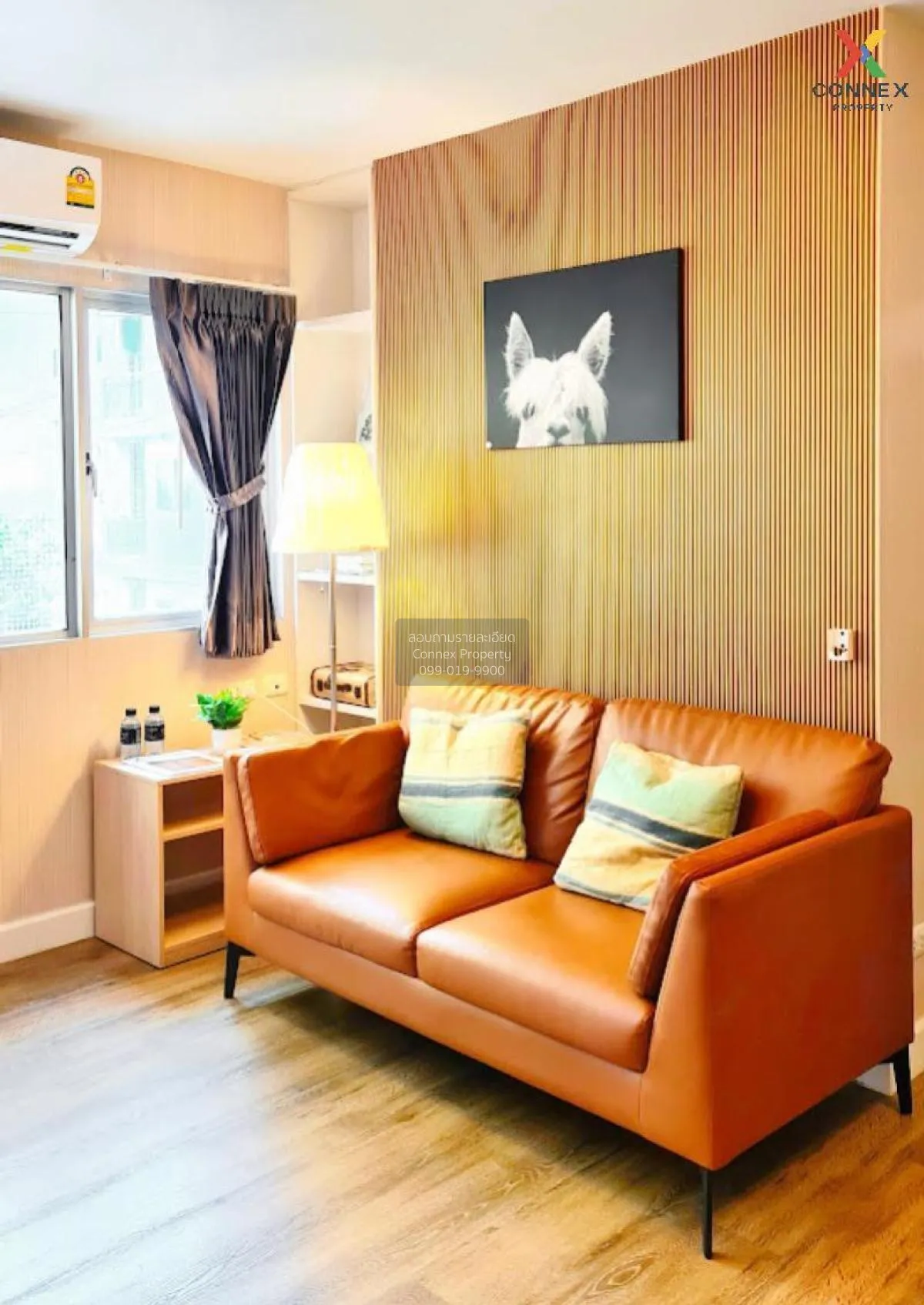 เช่าคอนโด  มาย คอนโด สุขุมวิท 81 BTS-อ่อนนุช บางจาก เขต พระโขนง ก