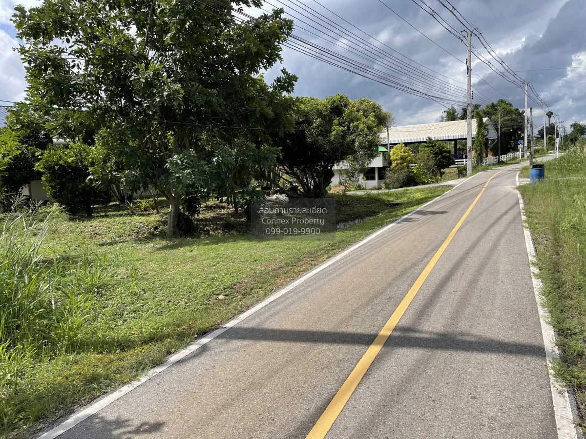 For Sale Land for sale Hua Hin , Wang Phong , Pran Buri , Prachua 1