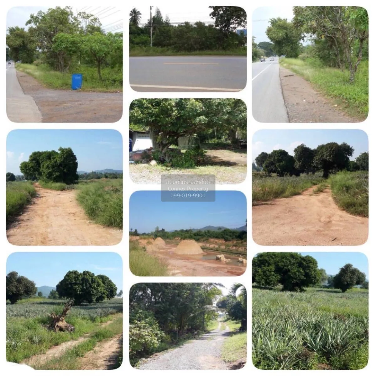 For Sale Land for sale Hua Hin , Wang Phong , Pran Buri , Prachua 3