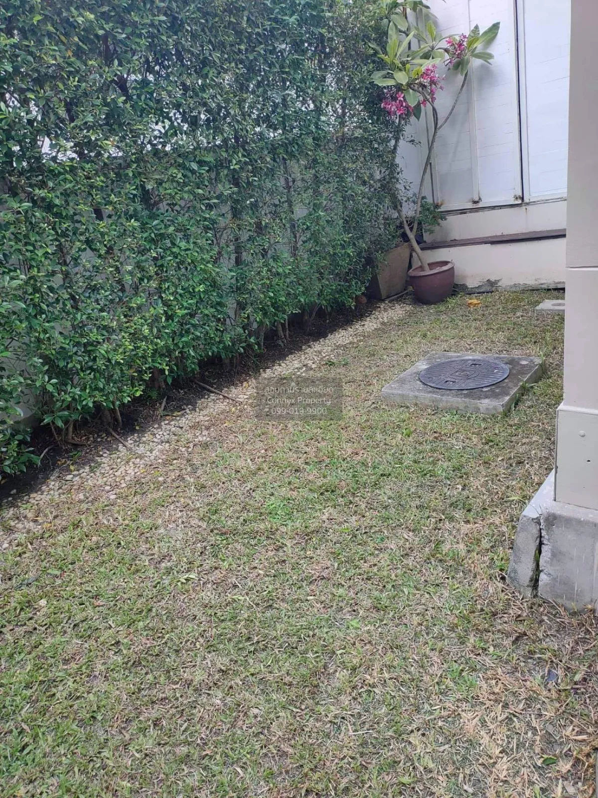 For Rent House , Mantana Onnut - Wongwaen 1 , wide frontage , new