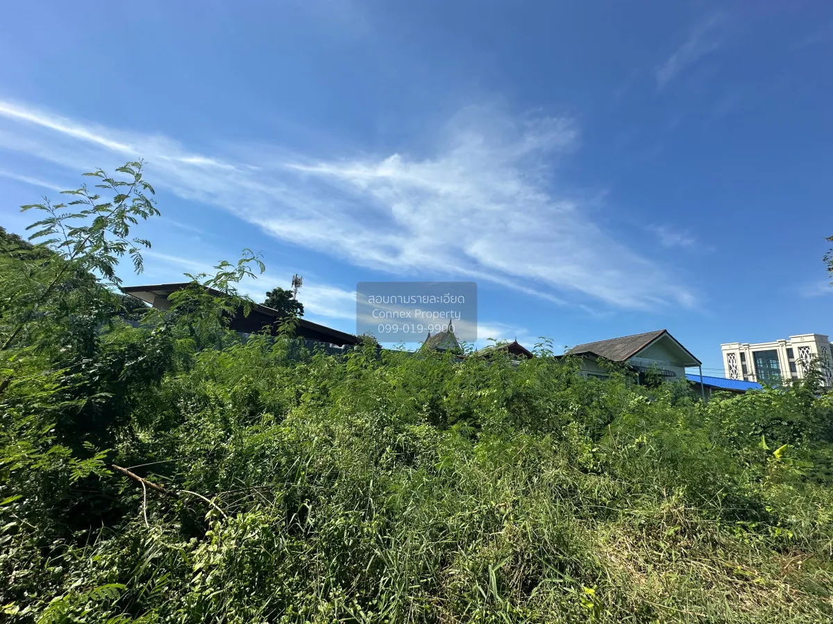 ขายบ้านและที่ดินเปล่า 2 ไร่ บางศรีเมือง นนทบุรี บางกร่าง เมืองนนท