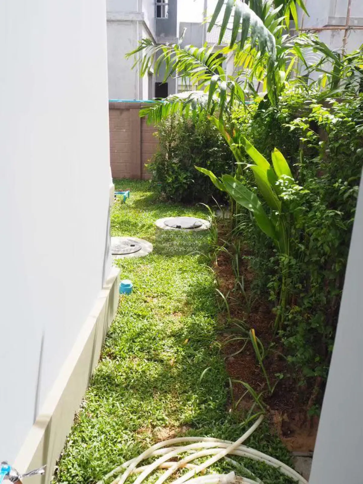 ขายบ้าน  เดอะ แพลนท์ เอสทีค พัฒนาการ หน้ากว้าง MRT-กลันตัน (สายสี