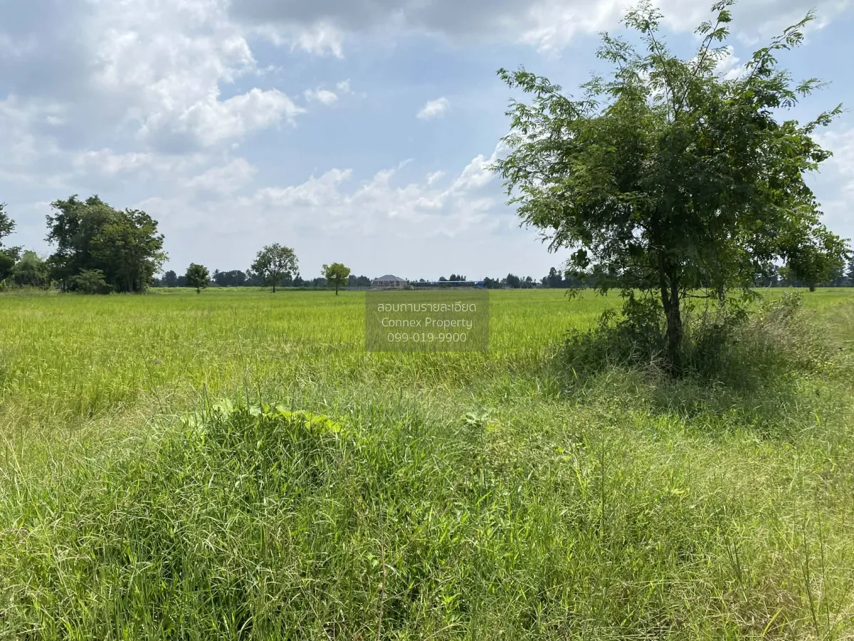 ขายที่ดิน 20 ไร่ อ.หันคา จ.ชัยนาท CX-145162 2